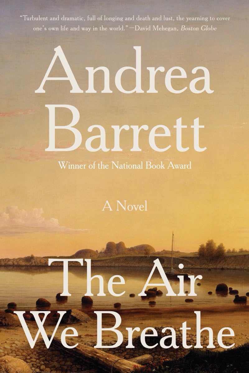 Air We Breathe book cover
