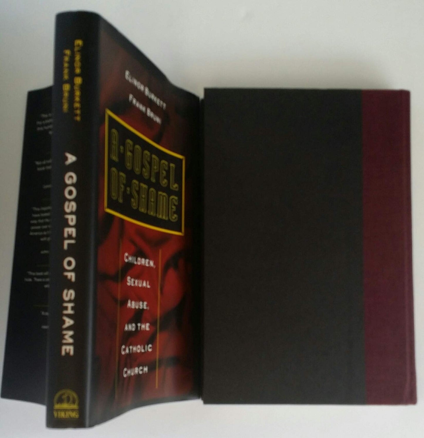 A Gospel of Shame: Children, Sexual Abuse, and the Catholic Church book cover