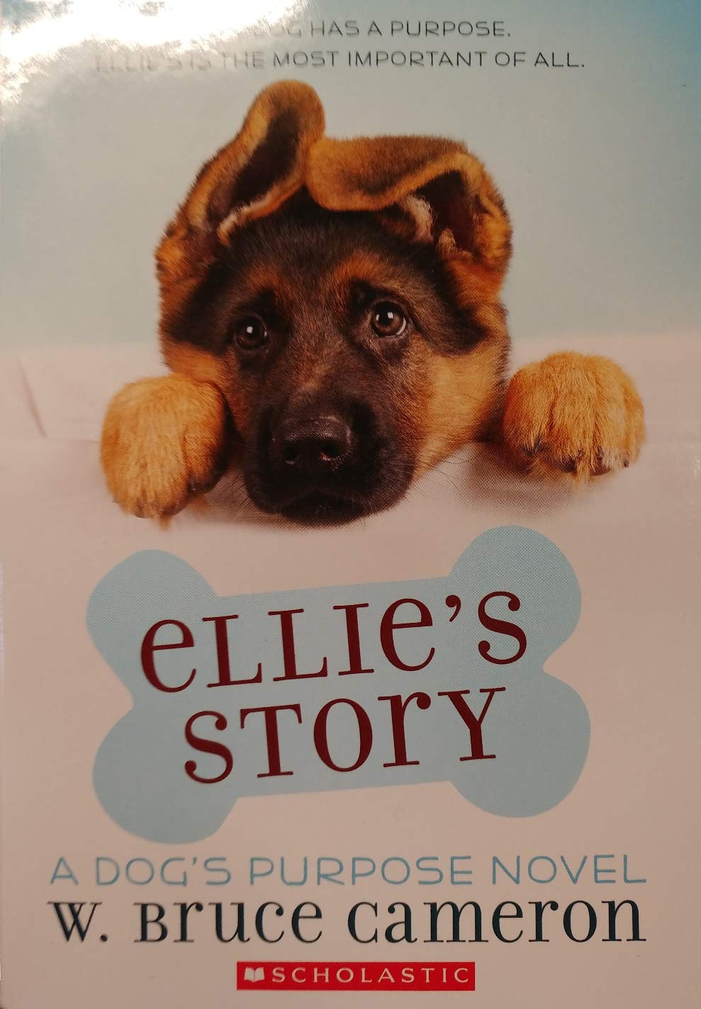 Ellies Story book cover