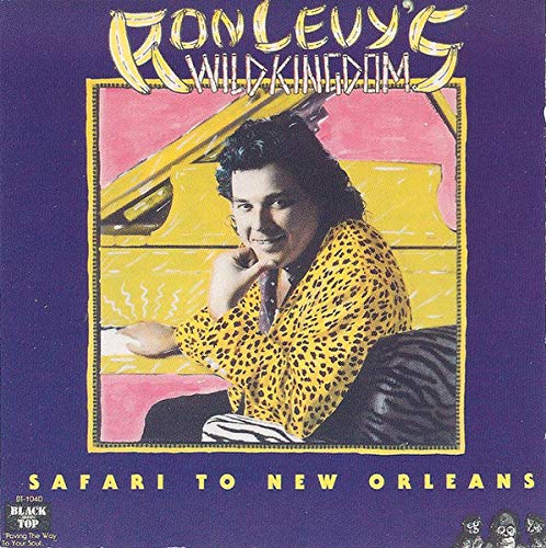 Safari To New Orleans book cover