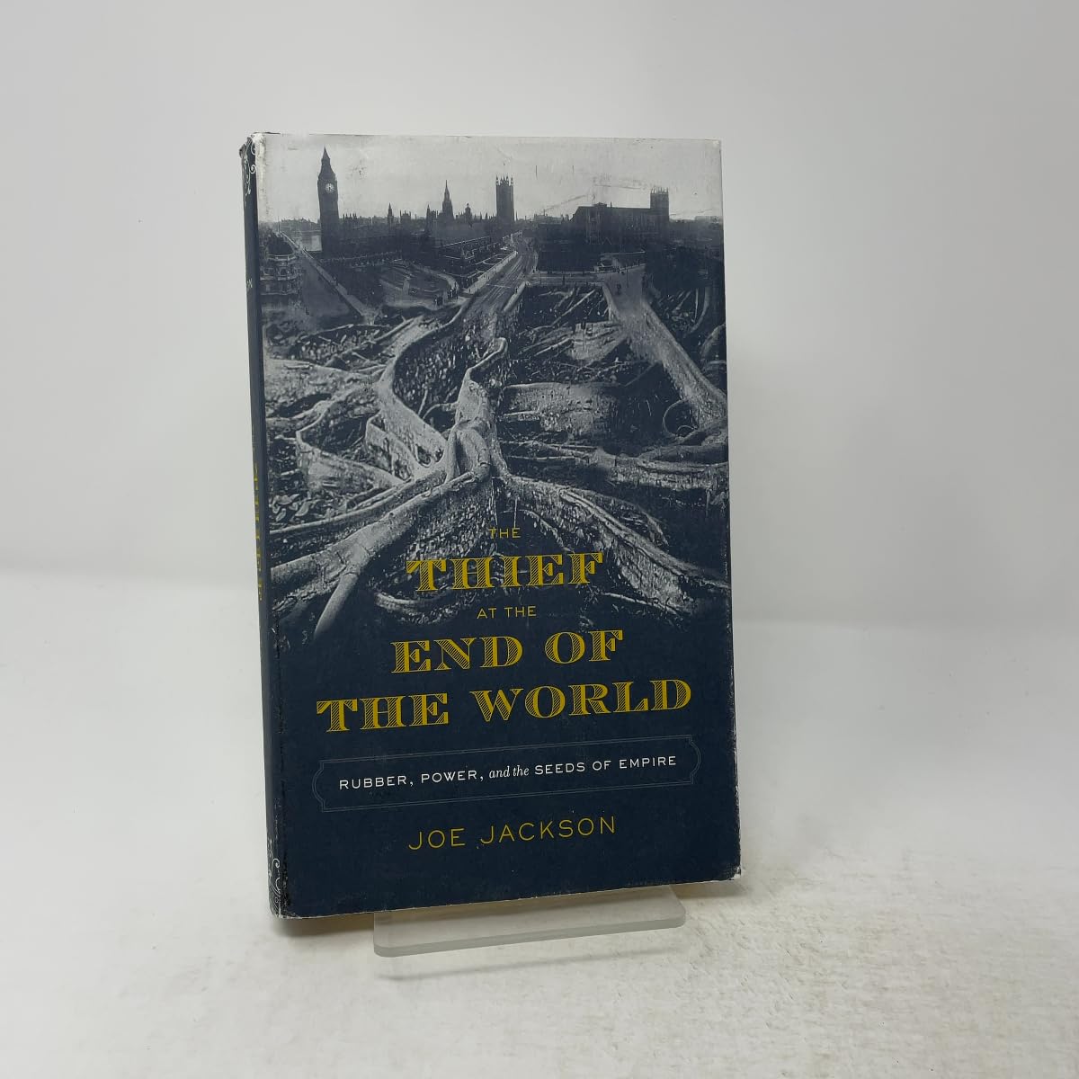 Thief at the End of the World: Rubber, Power, and the Seeds of Empire book cover