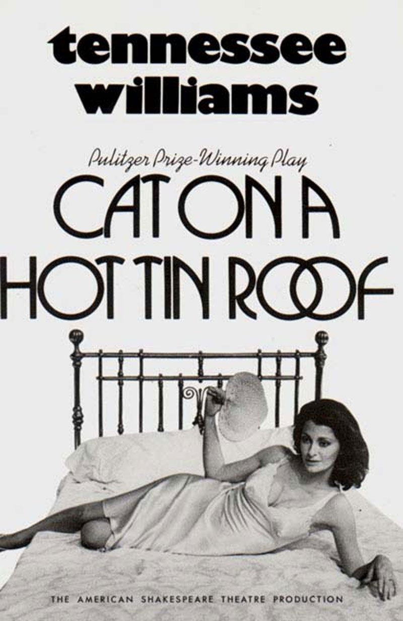 Cat on a Hot Tin Roof book cover
