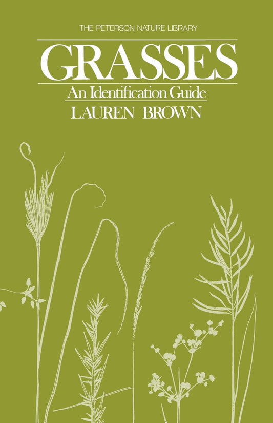 Grasses: An Identification Guide book cover