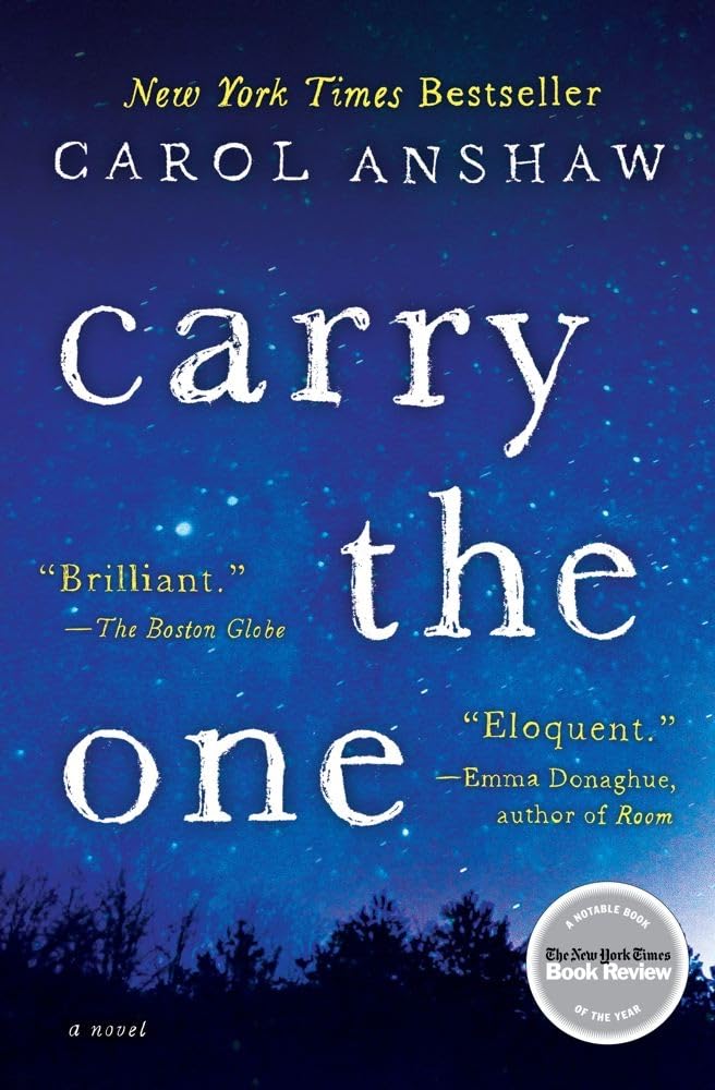 Carry the One book cover