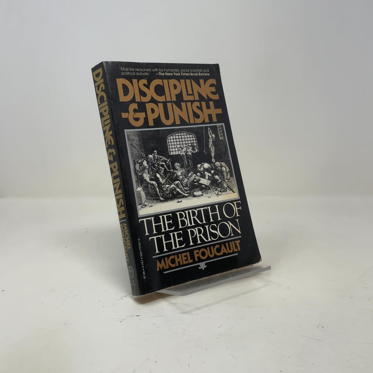 Discipline and Punish book cover