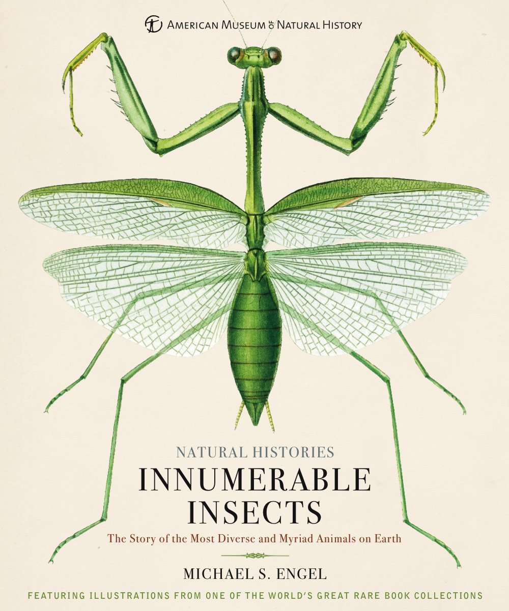 Innumerable Insects: The Story of the Most Diverse and Myriad Animals on Earth (Natural Histories) book cover