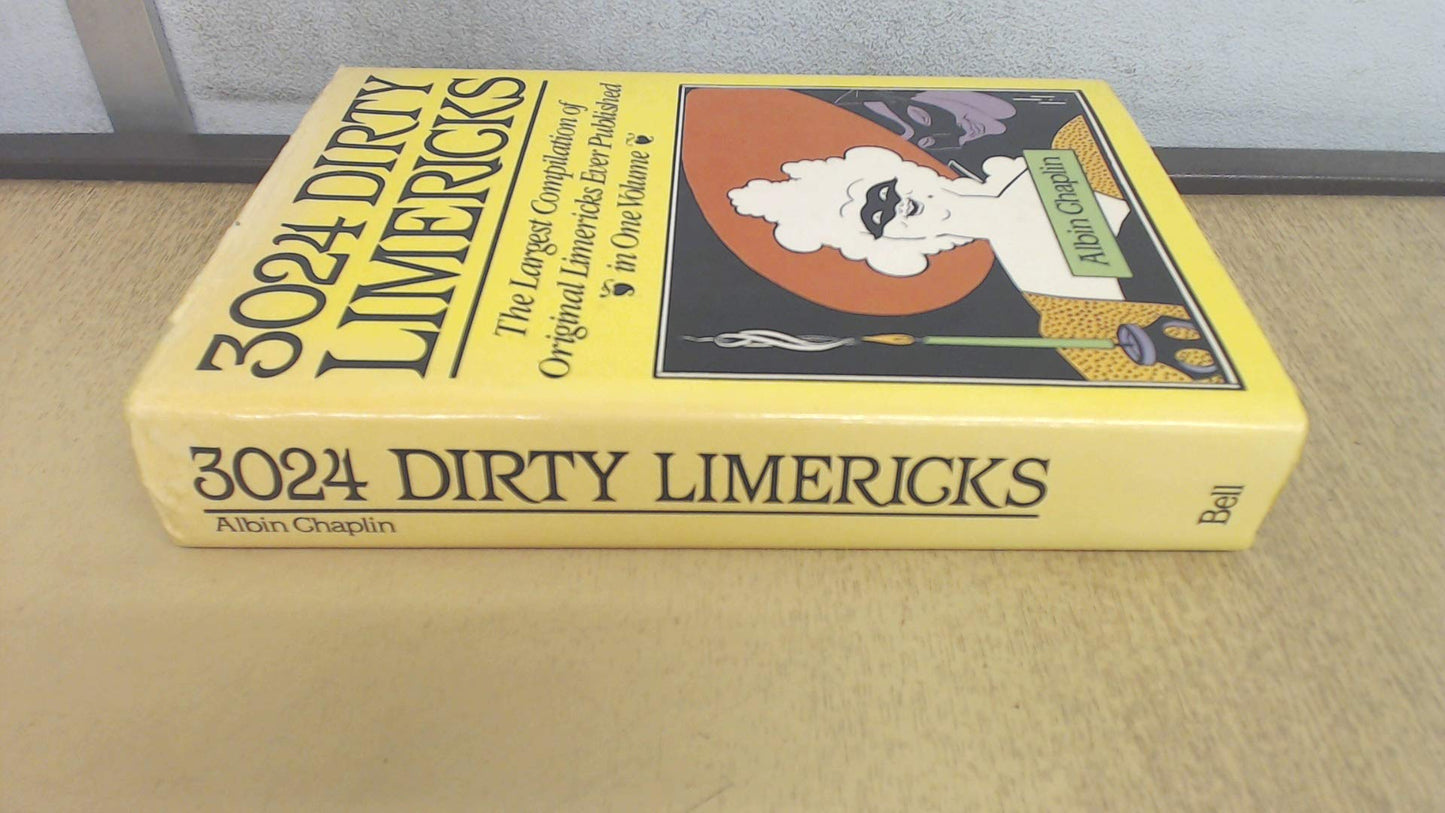 3024 Dirty Limericks book cover