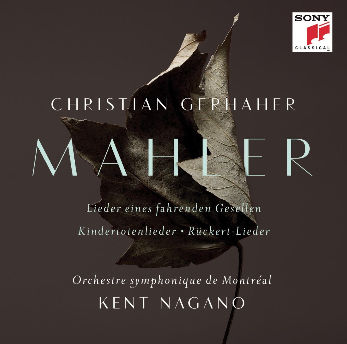 Orchestral Songs book cover