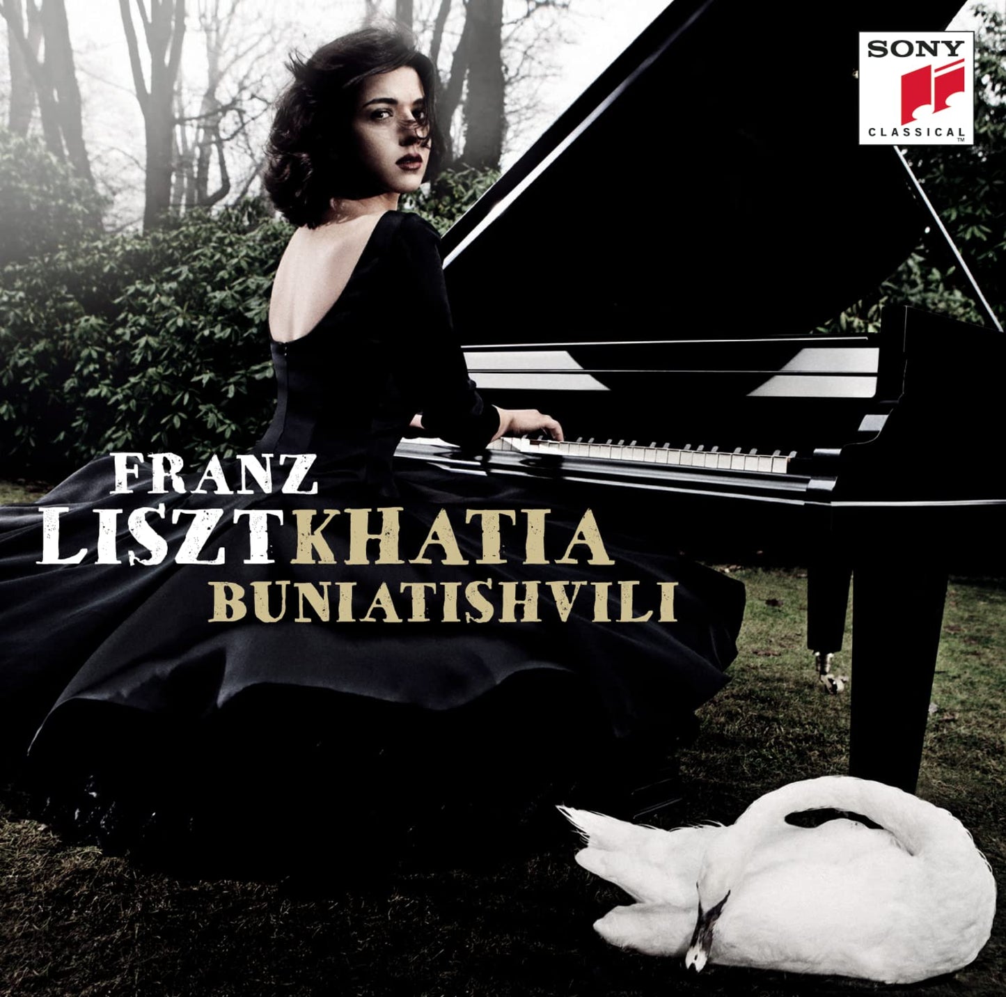 Franz Liszt book cover
