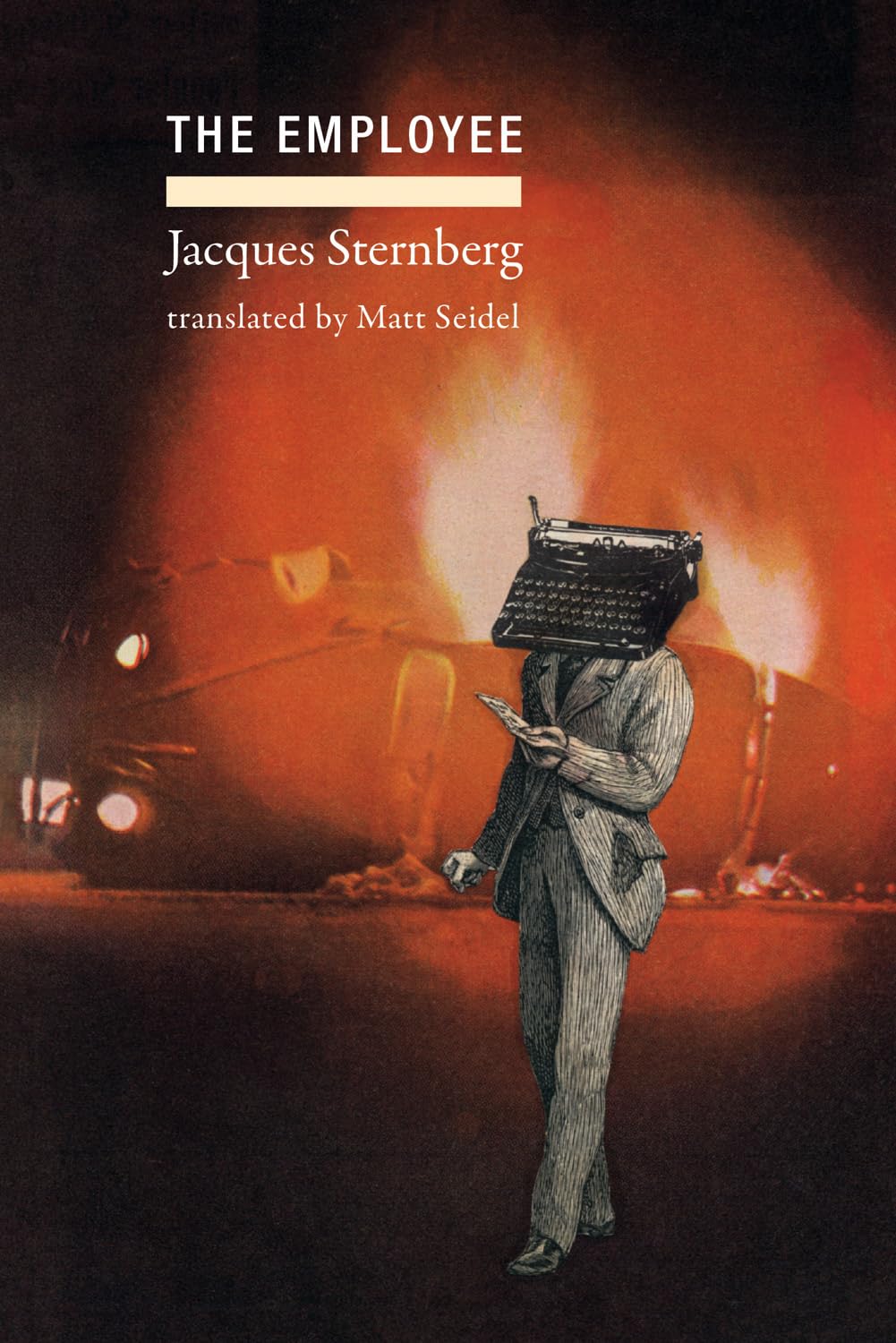 The Employee book cover