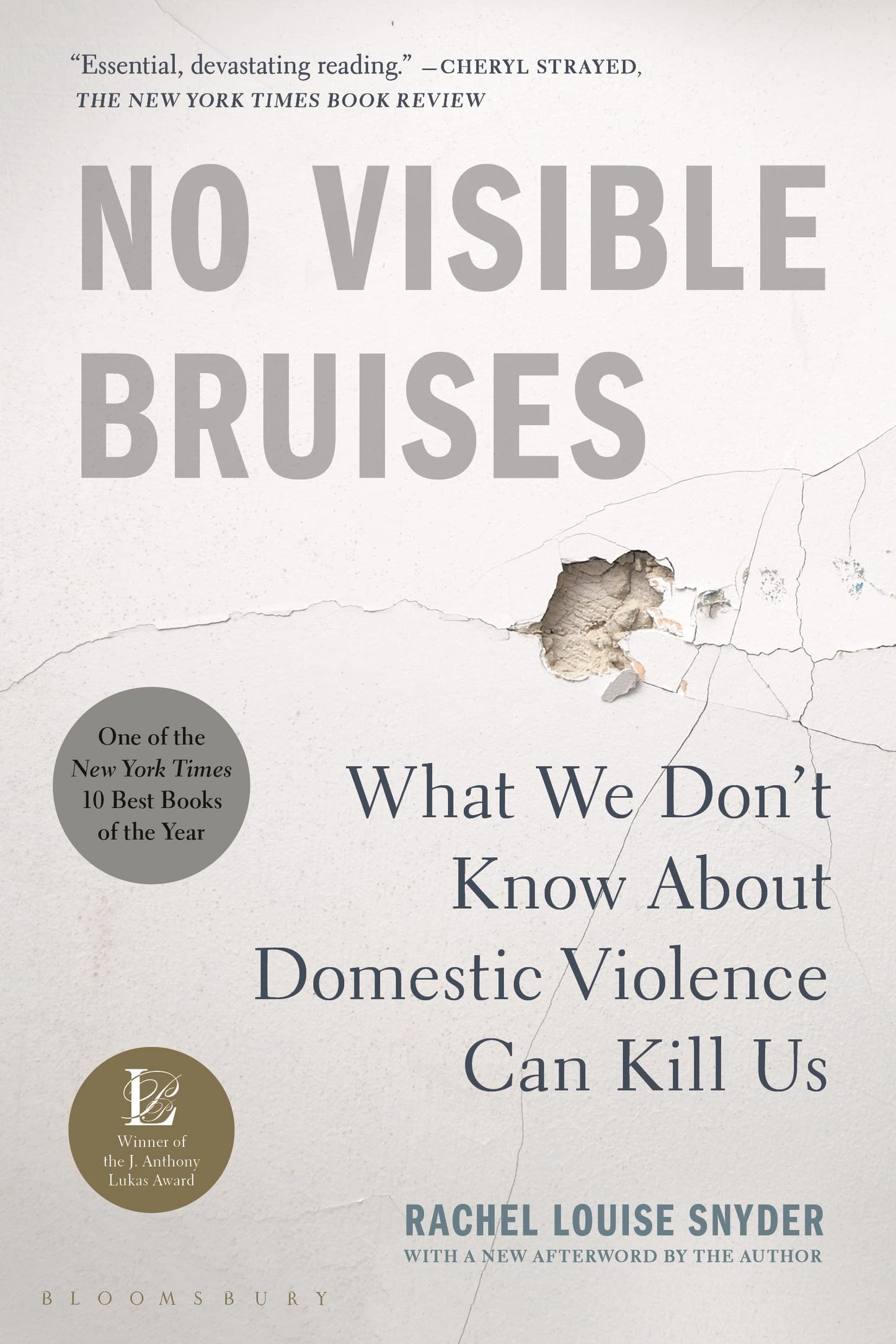 No Visible Bruises: What We Don't Know about Domestic Violence Can Kill Us book cover