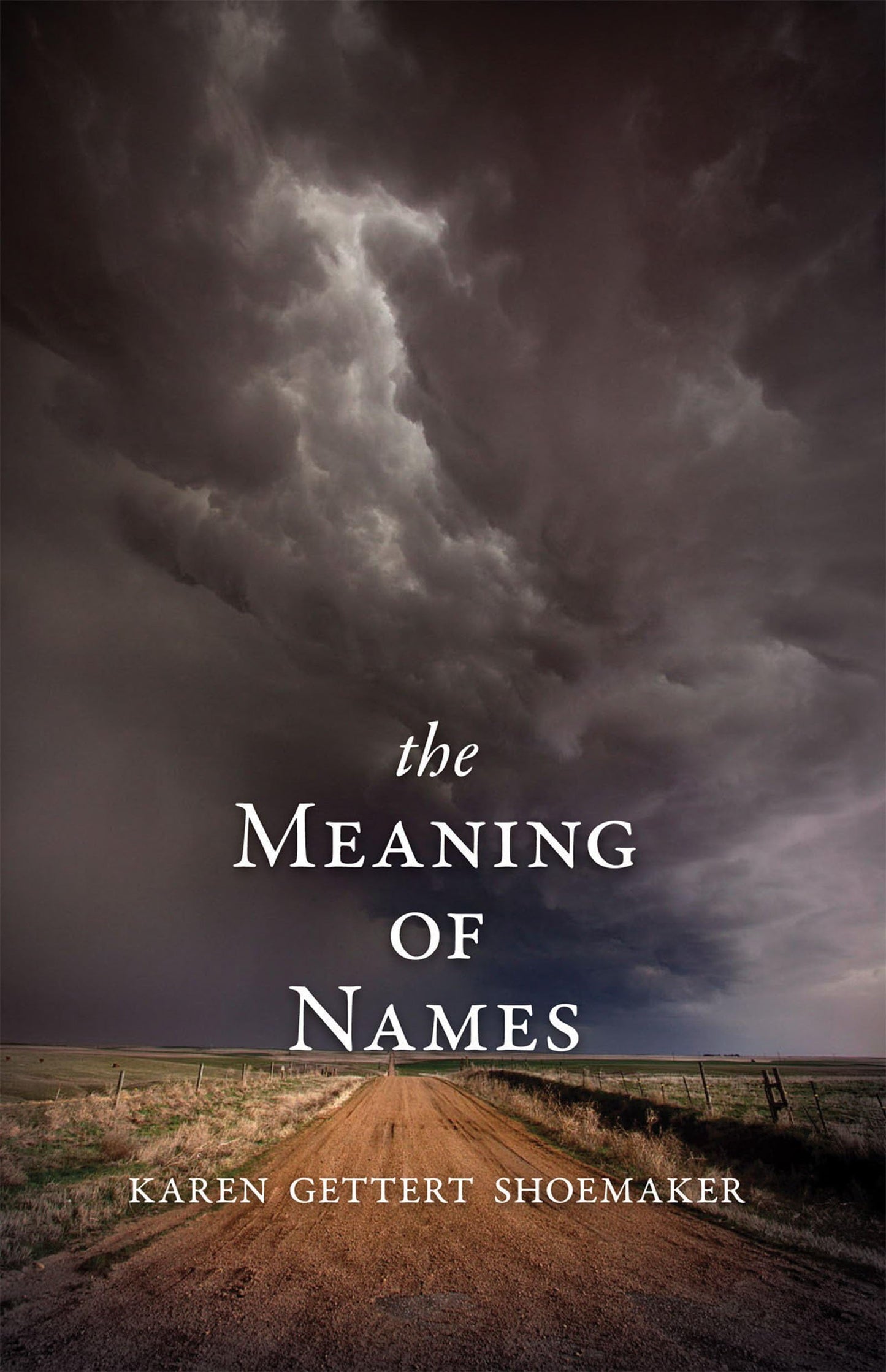 Meaning of Names book cover