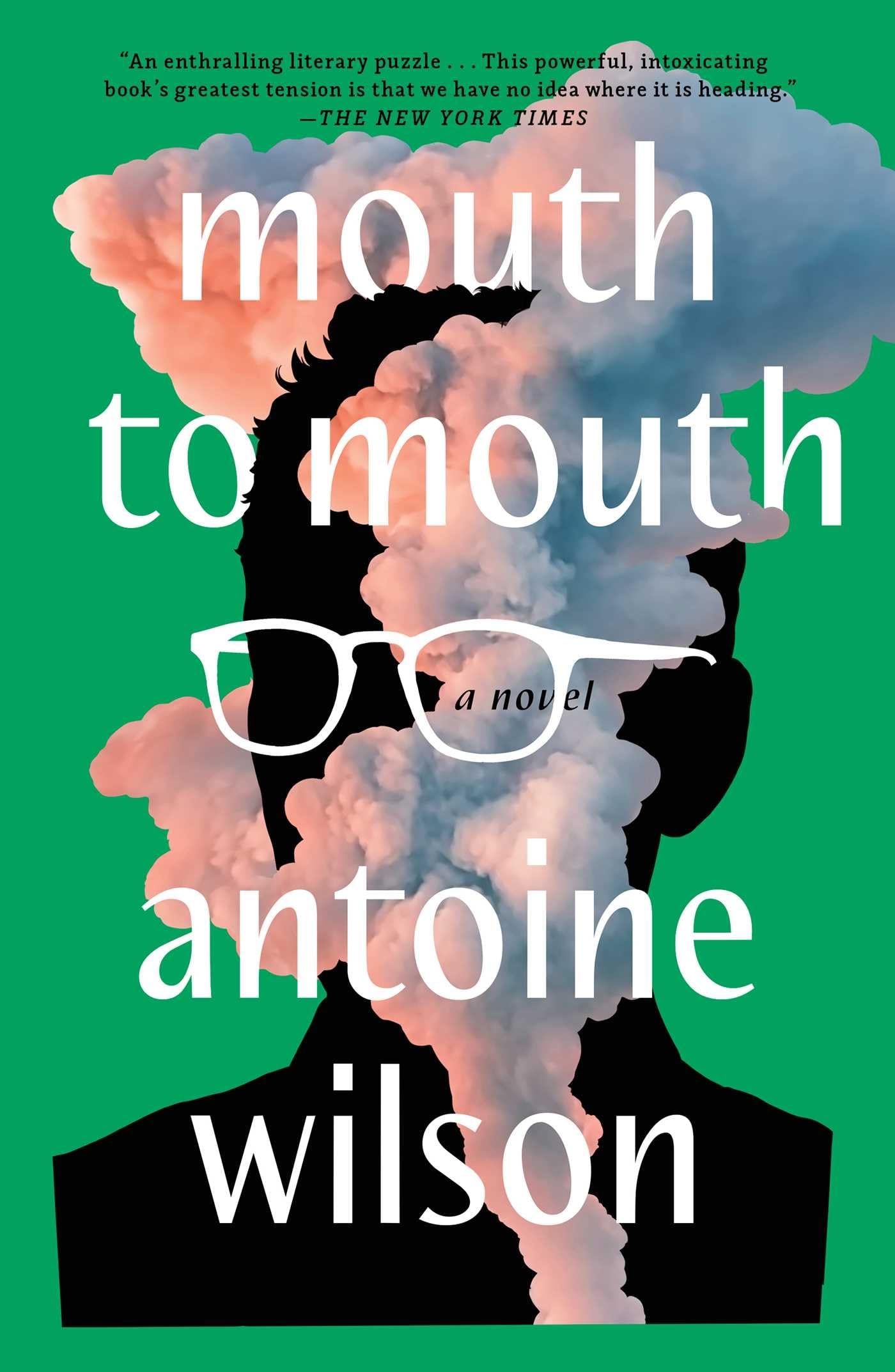 Mouth to Mouth book cover