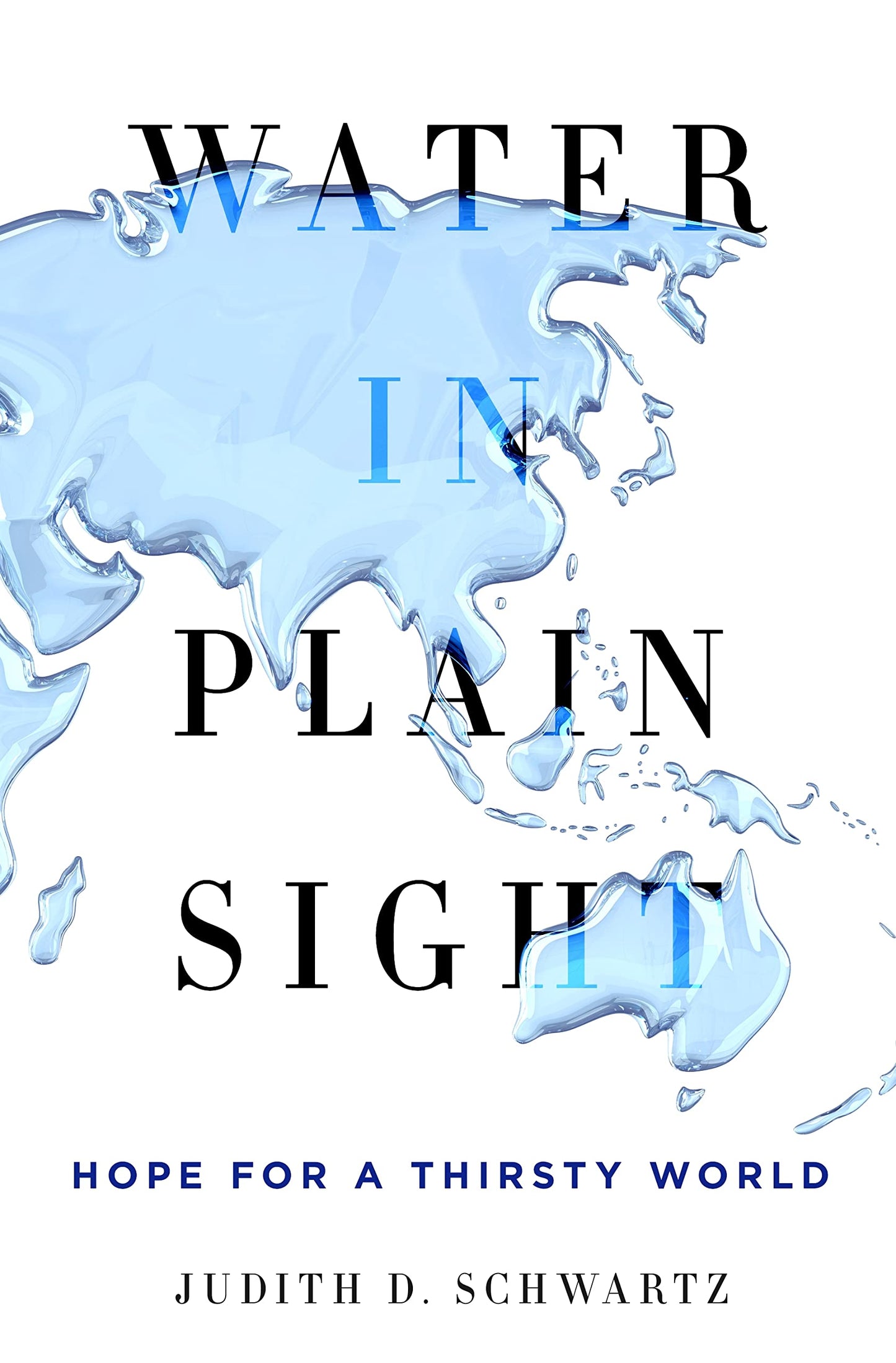 Water in Plain Sight: Hope for a Thirsty World book cover