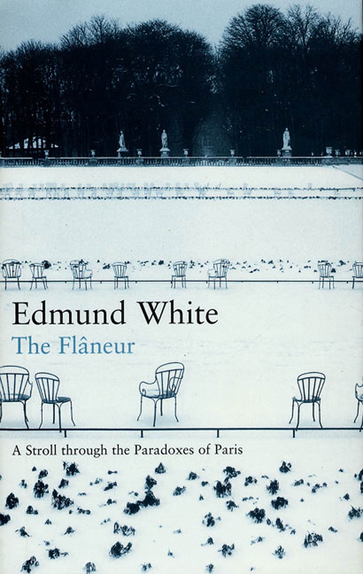Flaneur: A Stroll Through the Paradoxes of Paris (Us) book cover