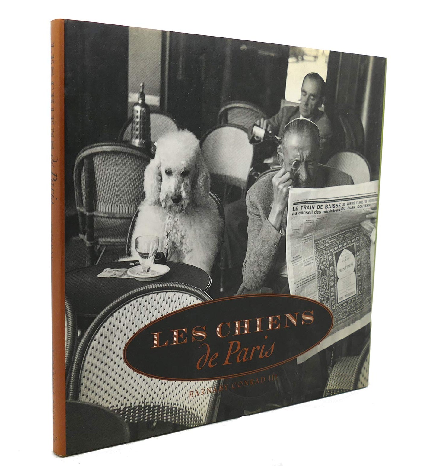 Les Chiens de Paris book cover