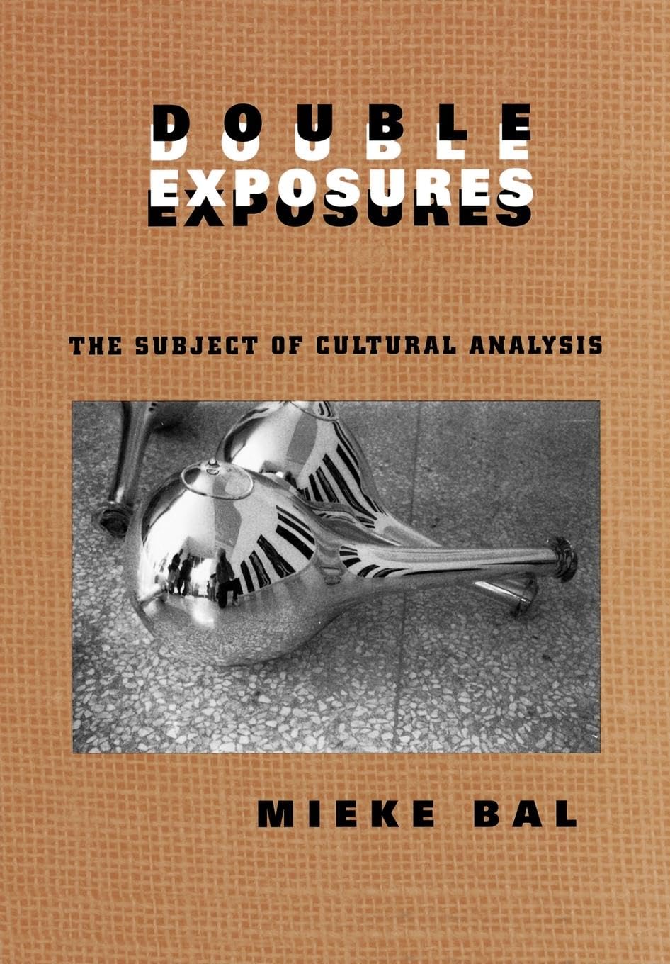 Double Exposures: The Practice of Cultural Analysis book cover