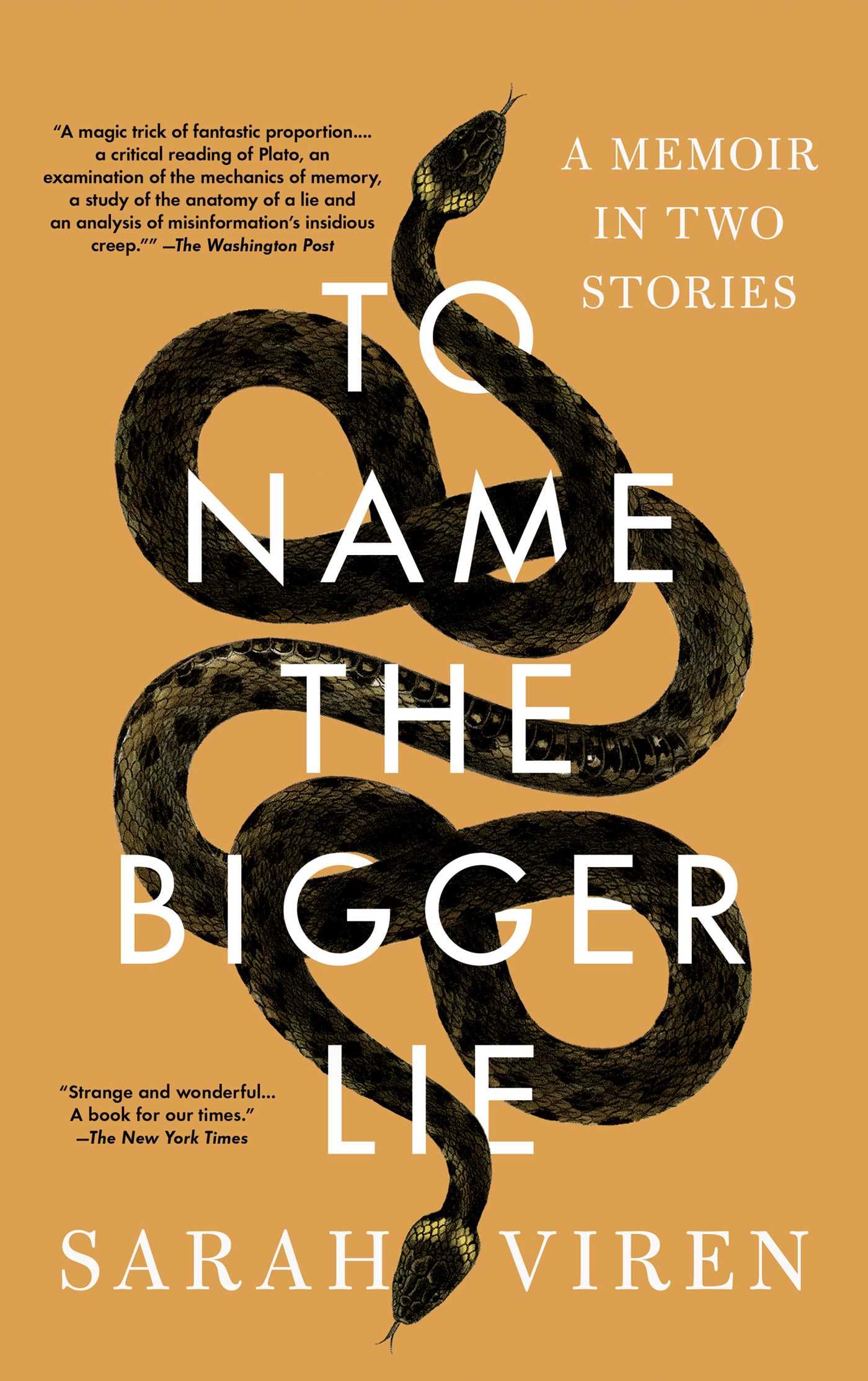 To Name the Bigger Lie: A Memoir in Two Stories book cover