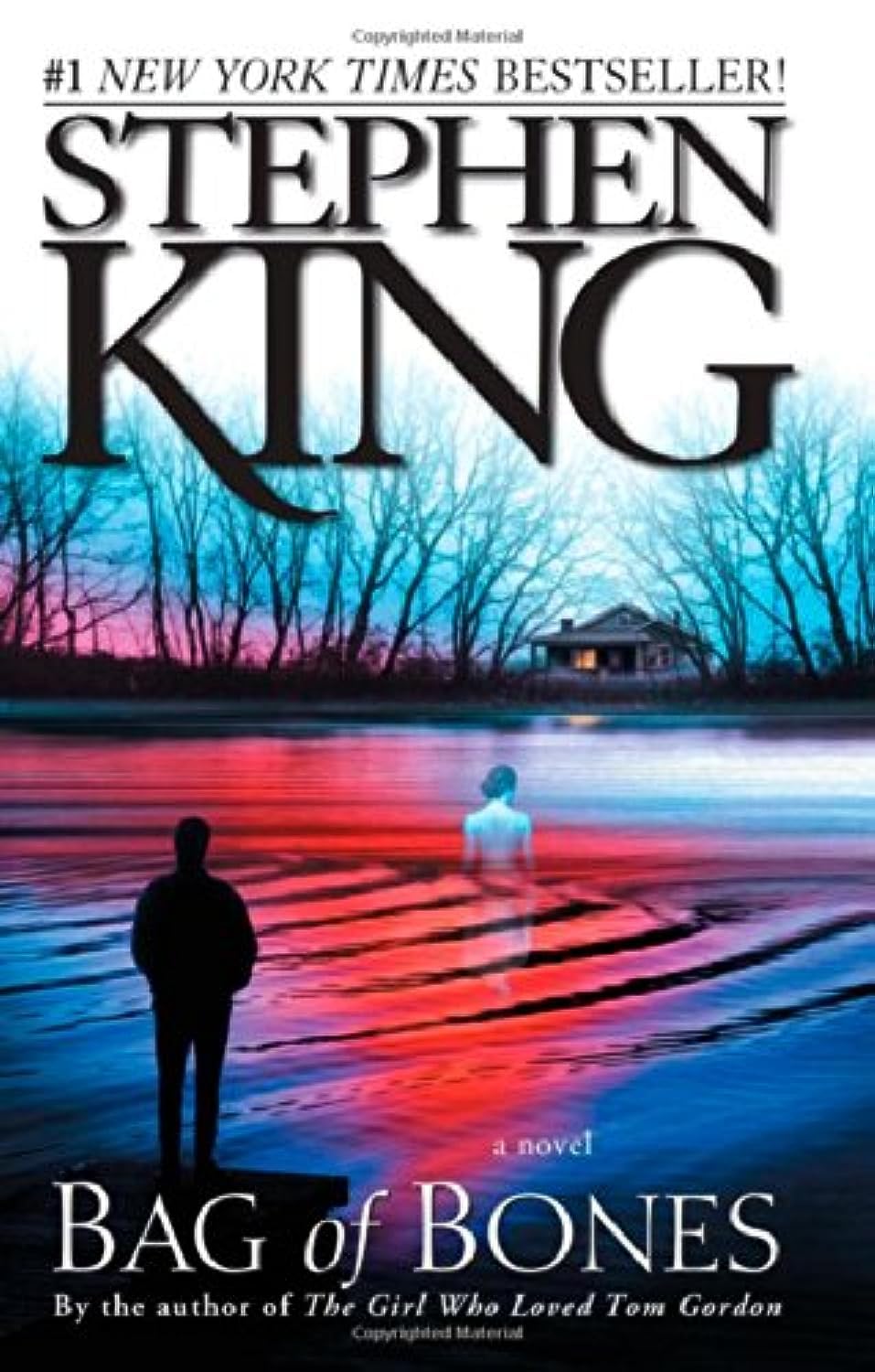 Bag of Bones book cover