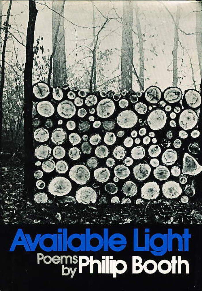 Available Light book cover