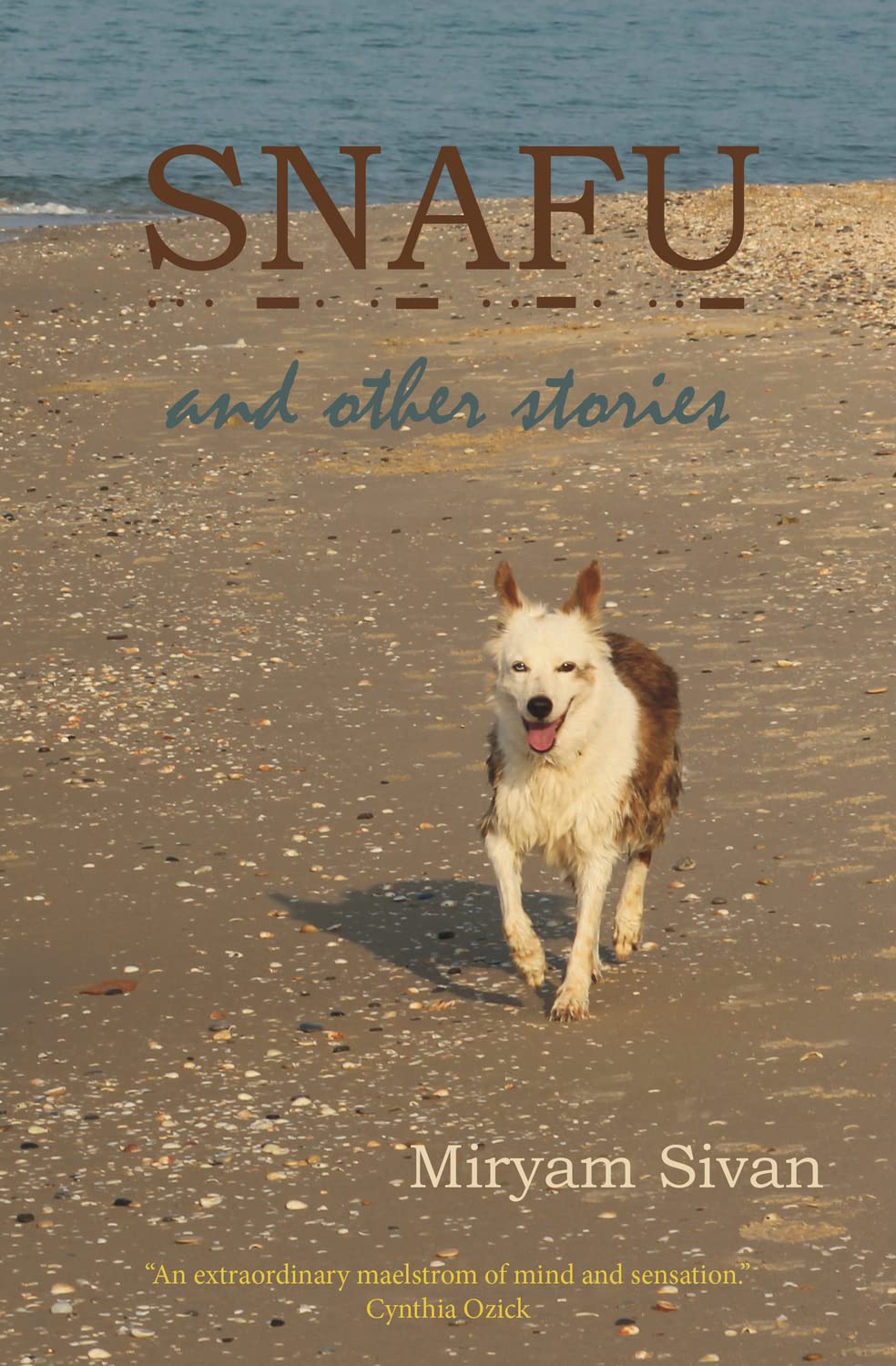 SNAFU and Other Stories book cover
