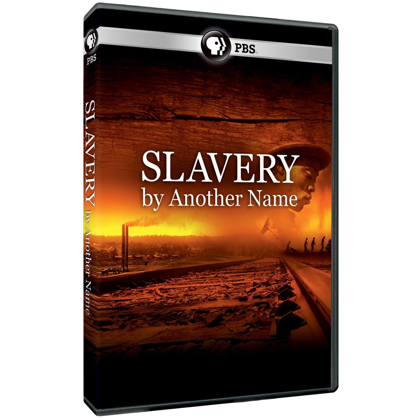 Slavery by Another Name book cover