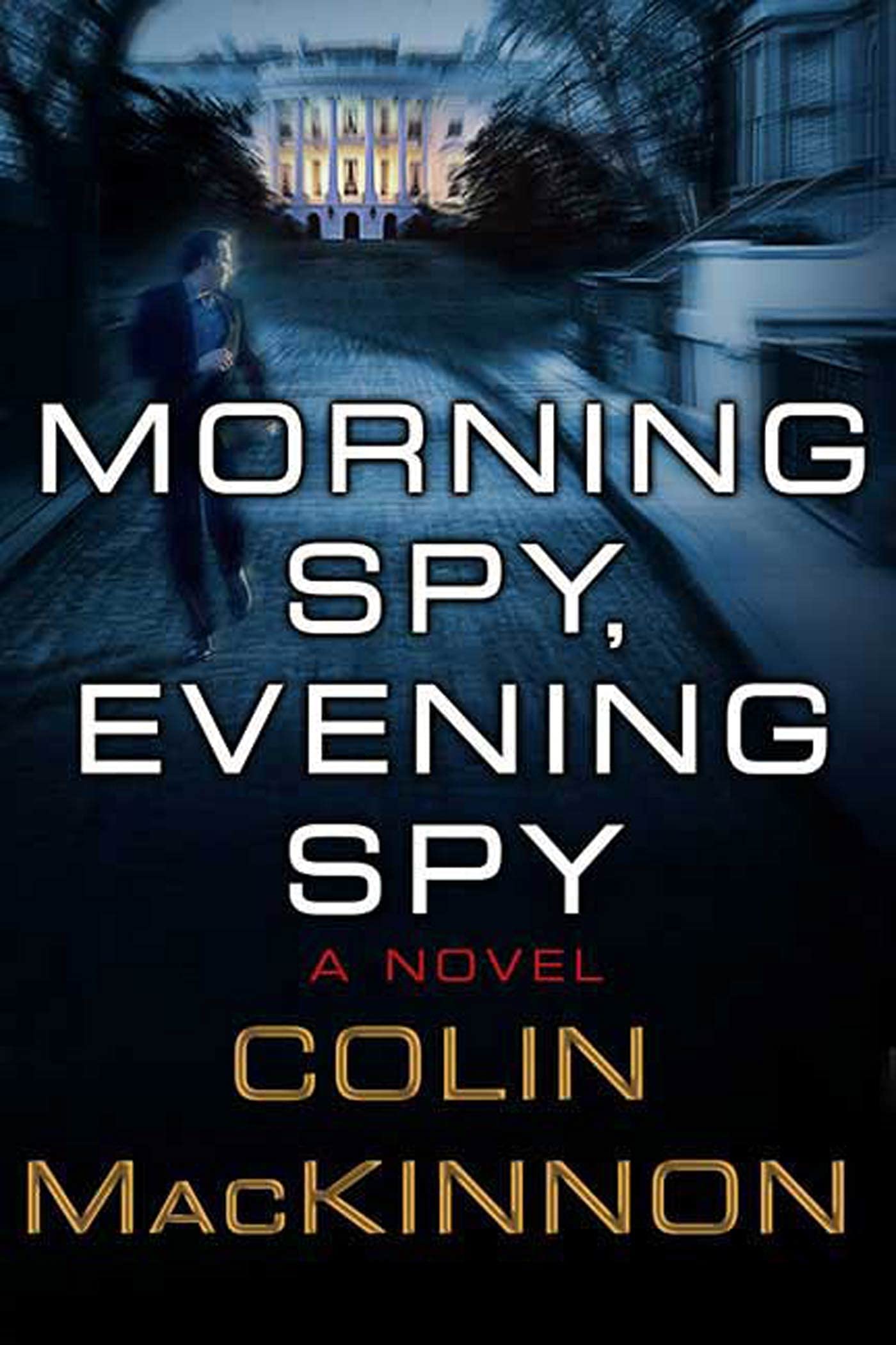 Morning Spy, Evening Spy book cover