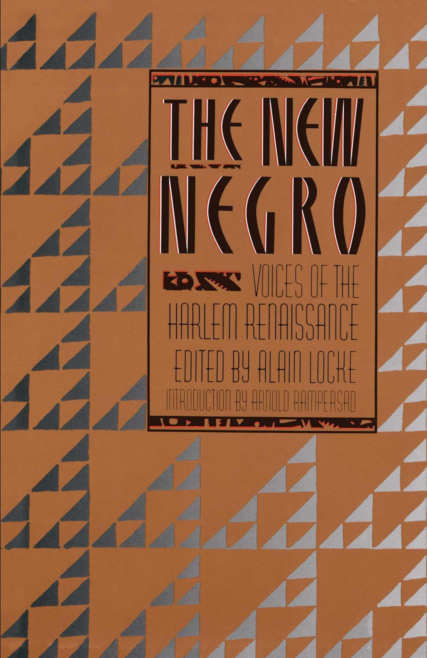 New Negro book cover