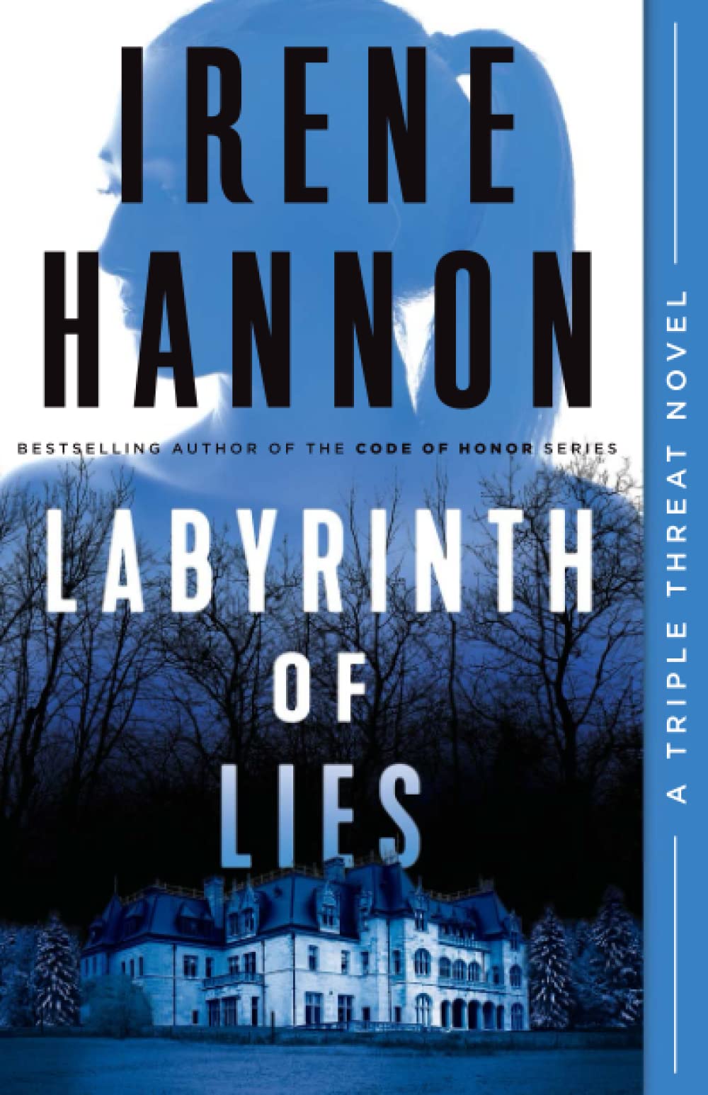 Labyrinth of Lies book cover