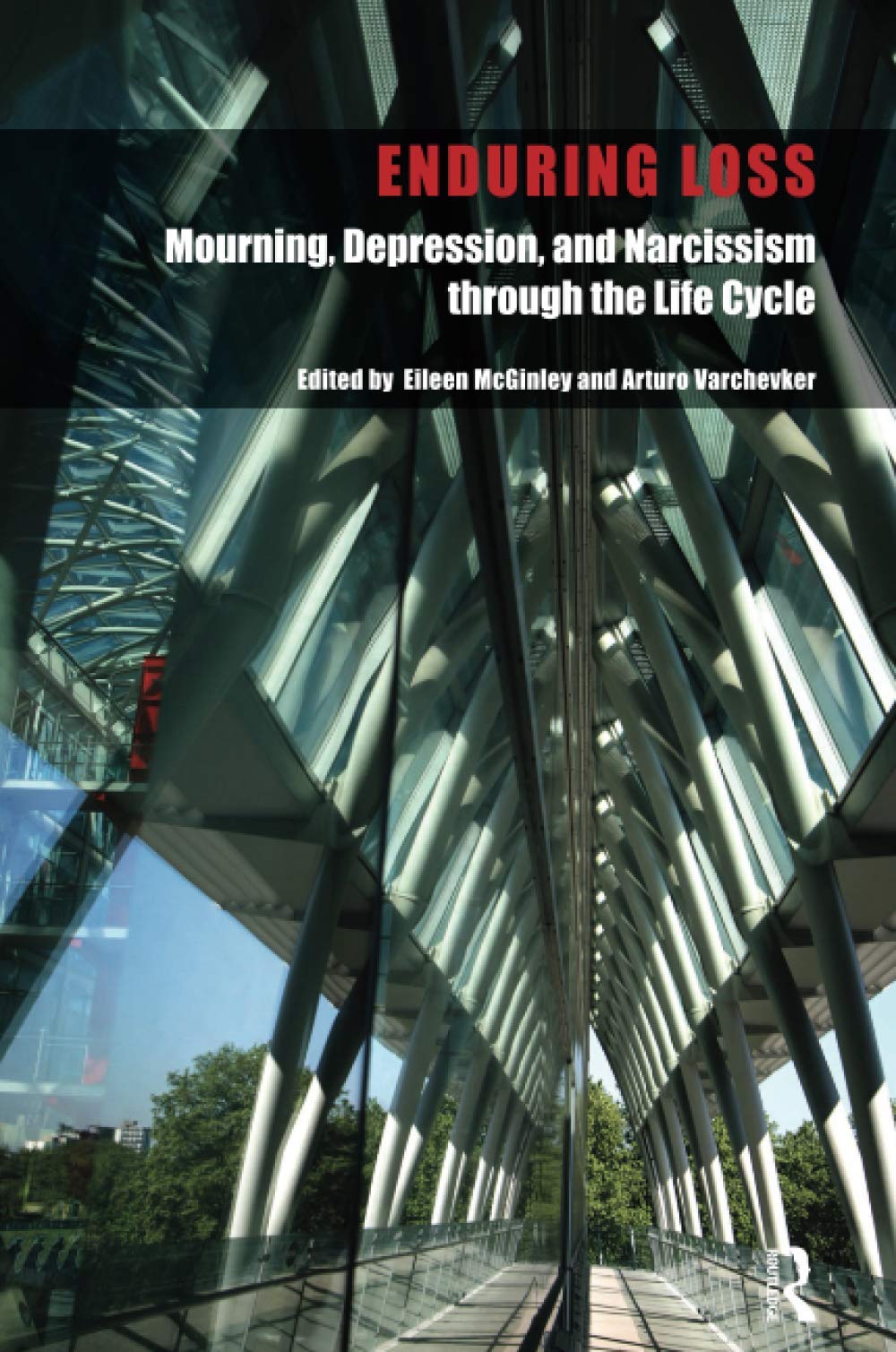 Enduring Loss: Mourning, Depression and Narcissism Throughout the Life Cycle book cover
