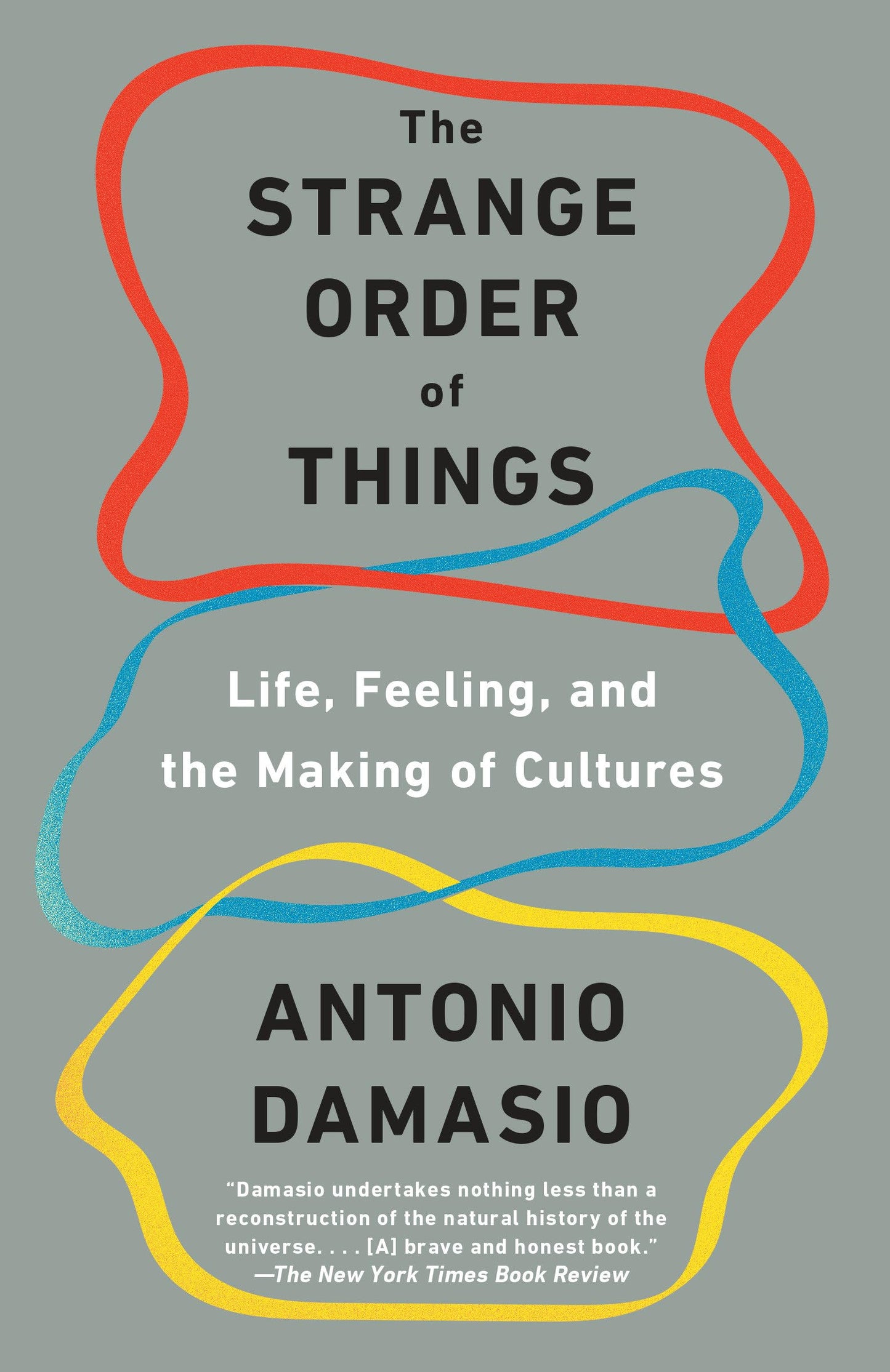 Strange Order of Things: Life, Feeling, and the Making of Cultures