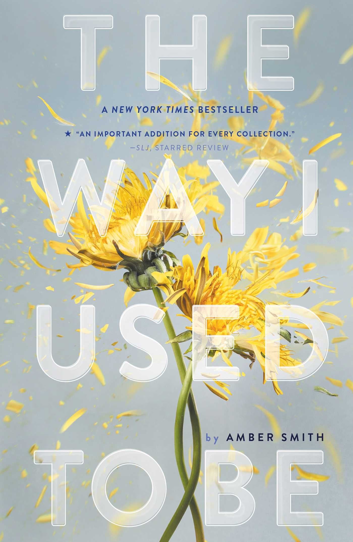 Way I Used to Be book cover