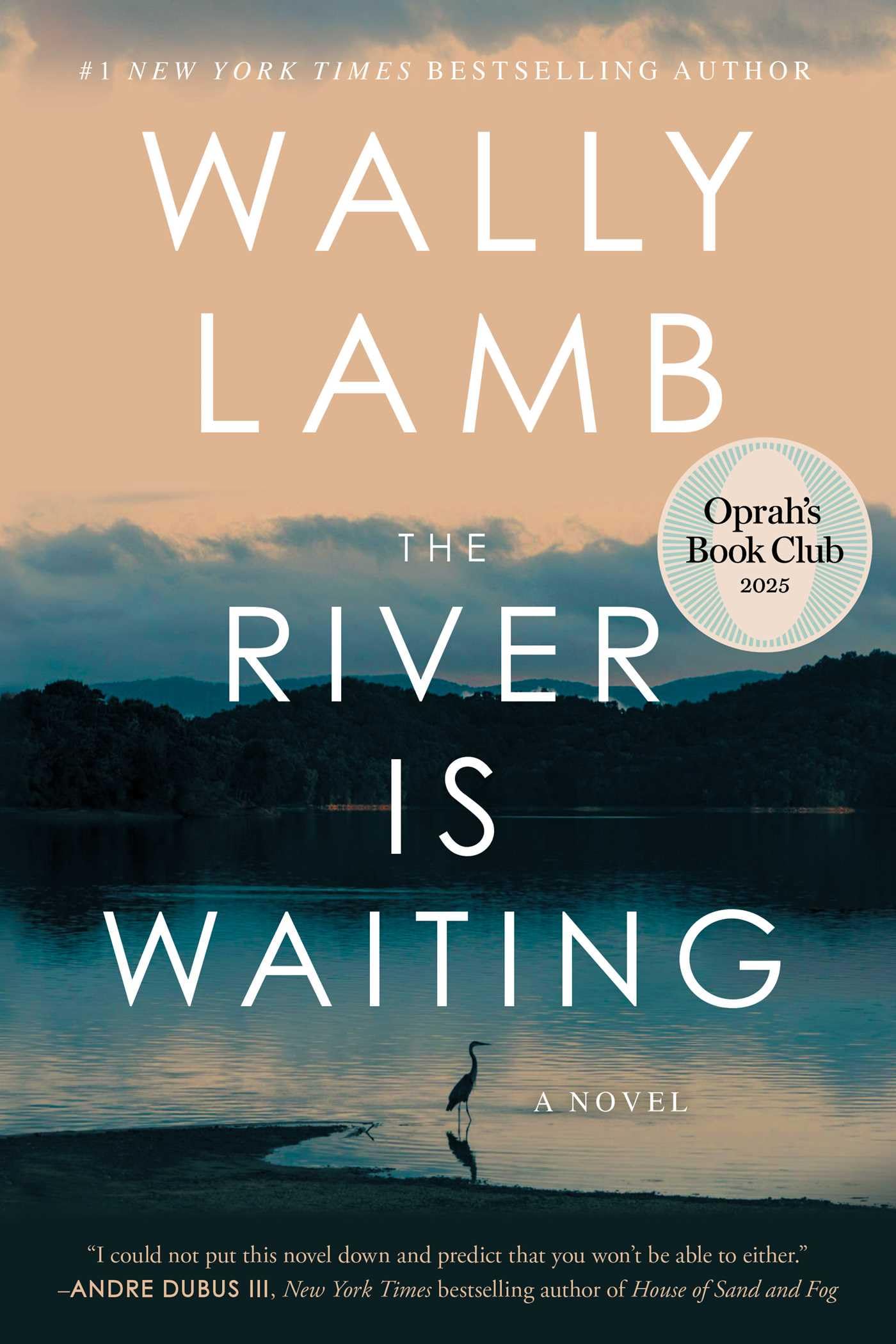 The River Is Waiting (Oprah's Book Club): A Novel book cover