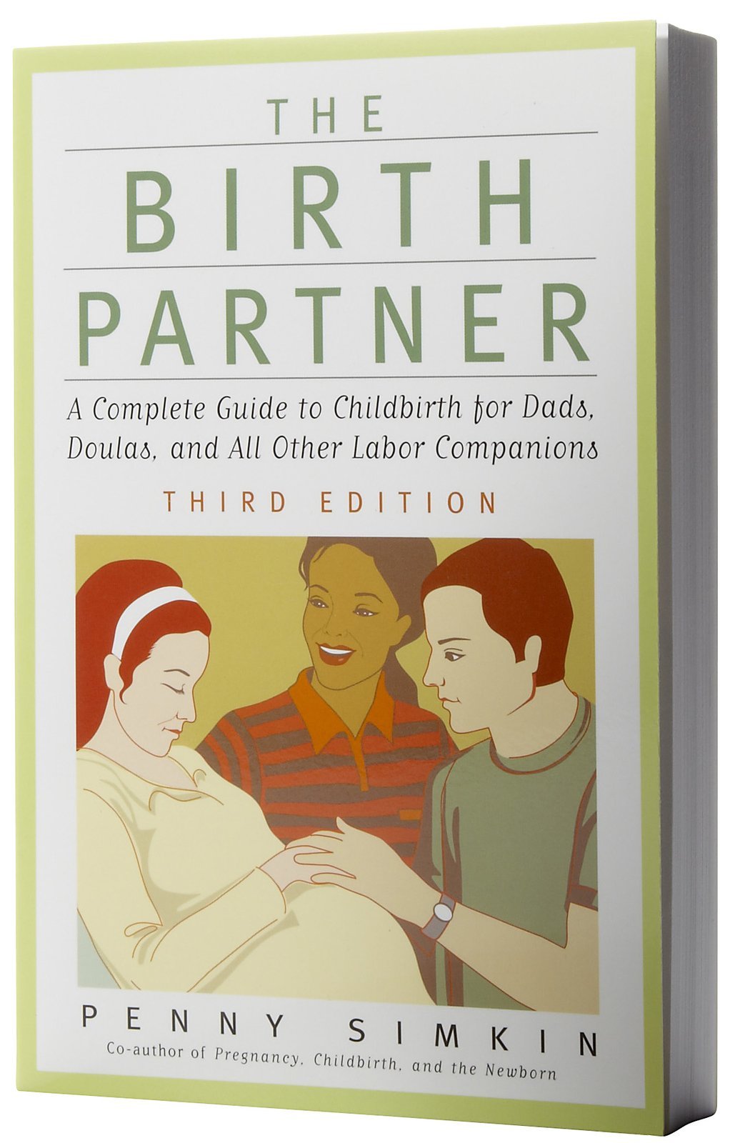 Birth Partner: A Complete Guide to Childbirth for Dads, Doulas, and All Other Labor Companions (First Trade Paper) book cover
