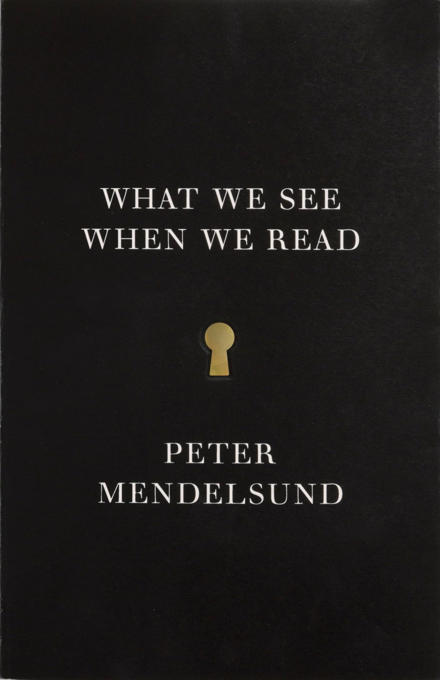 What We See When We Read book cover