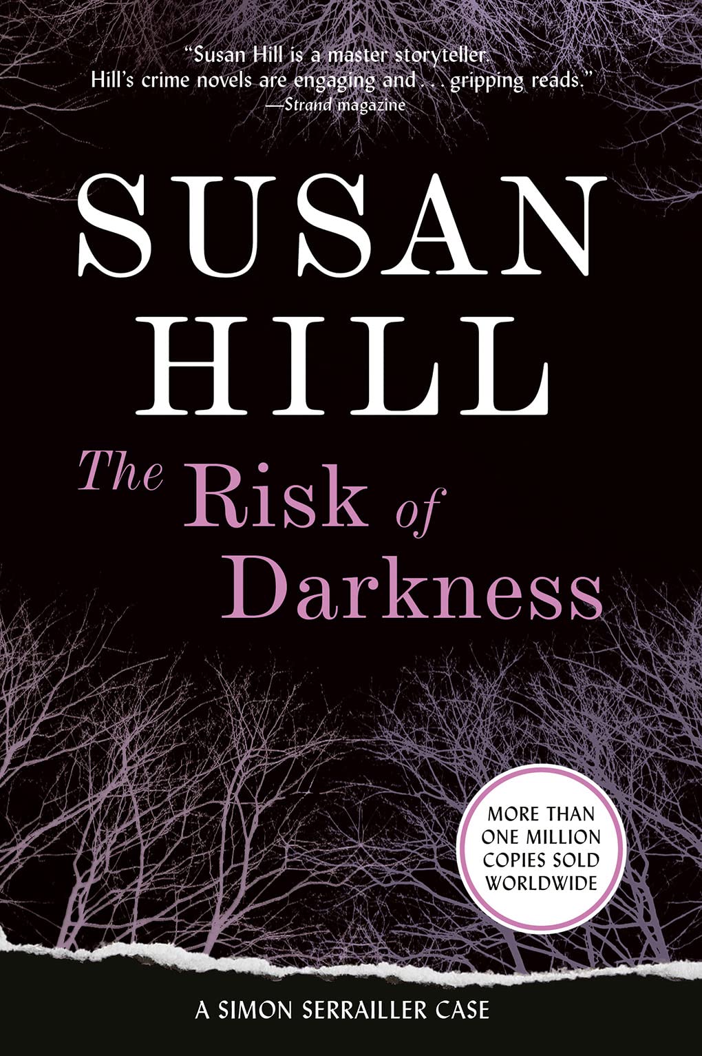 Risk of Darkness: A Gripping Psychological Thriller of Abduction, Deception, and Shattered Innocence book cover