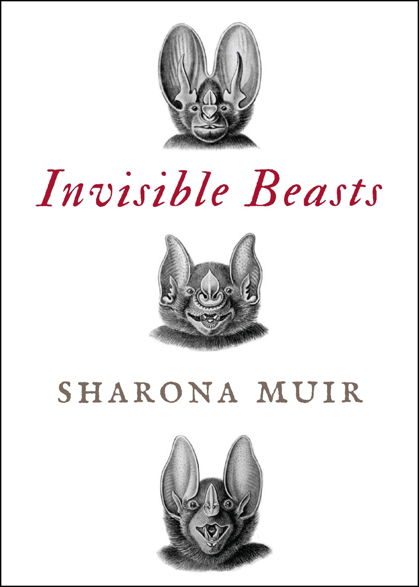 Invisible Beasts: Tales of the Animals That Go Unseen Among Us book cover