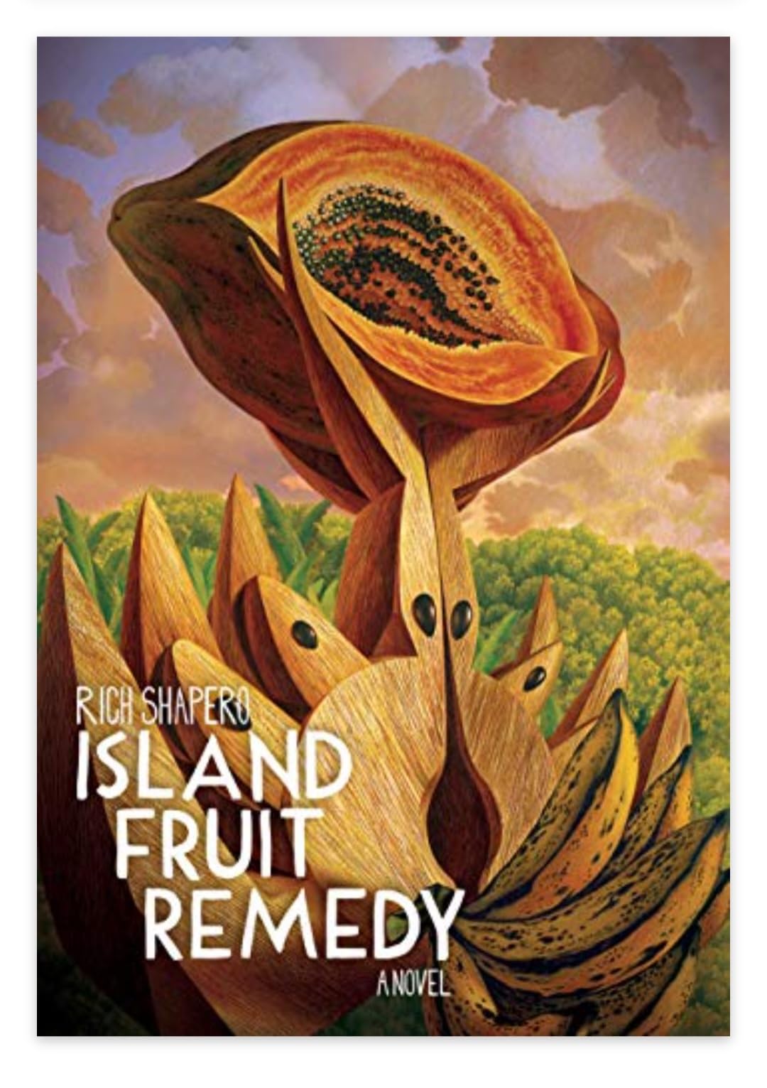 ISLAND FRUIT REMEDY A Novel