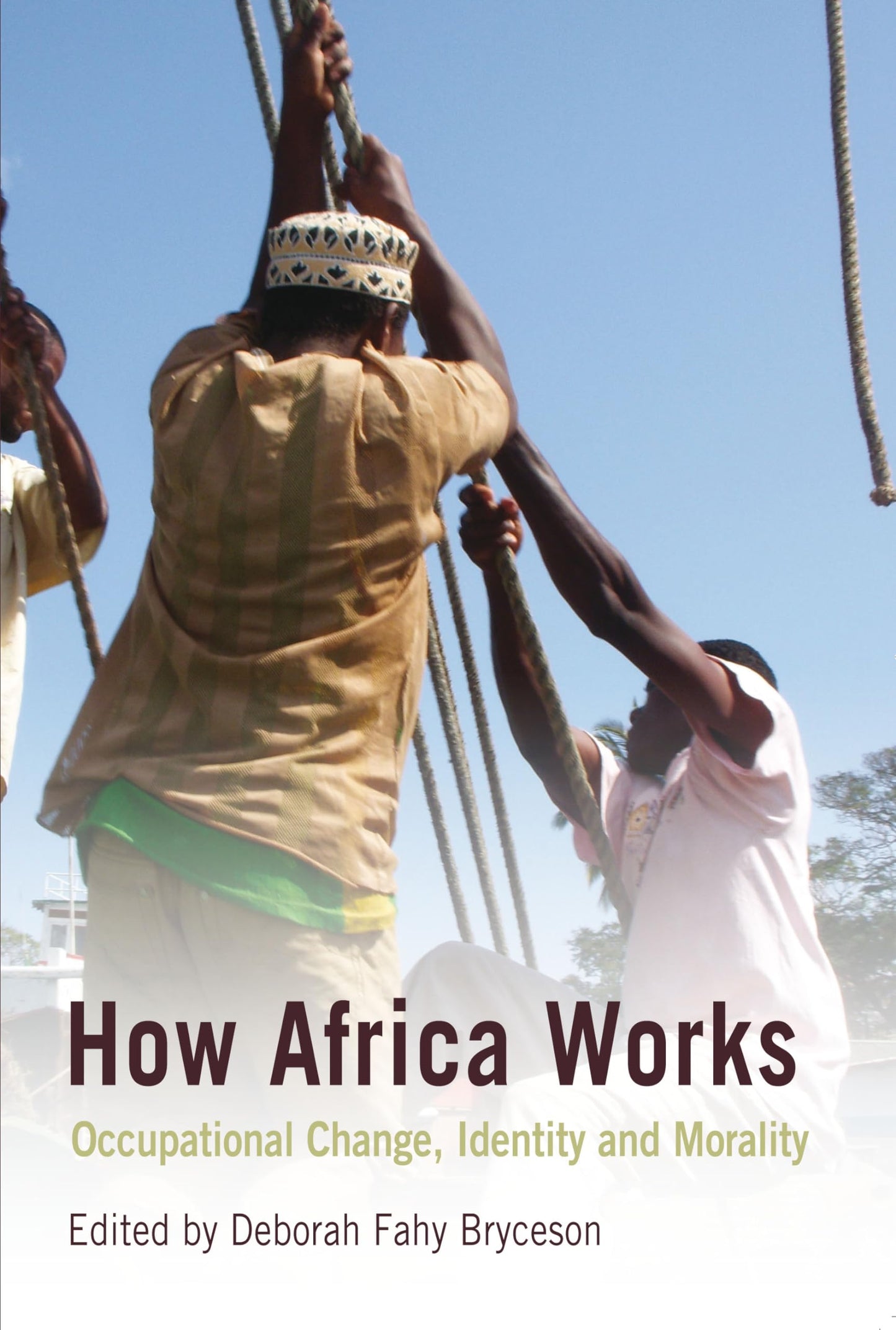 How Africa Works: Occupational Change, Identity and Morality book cover
