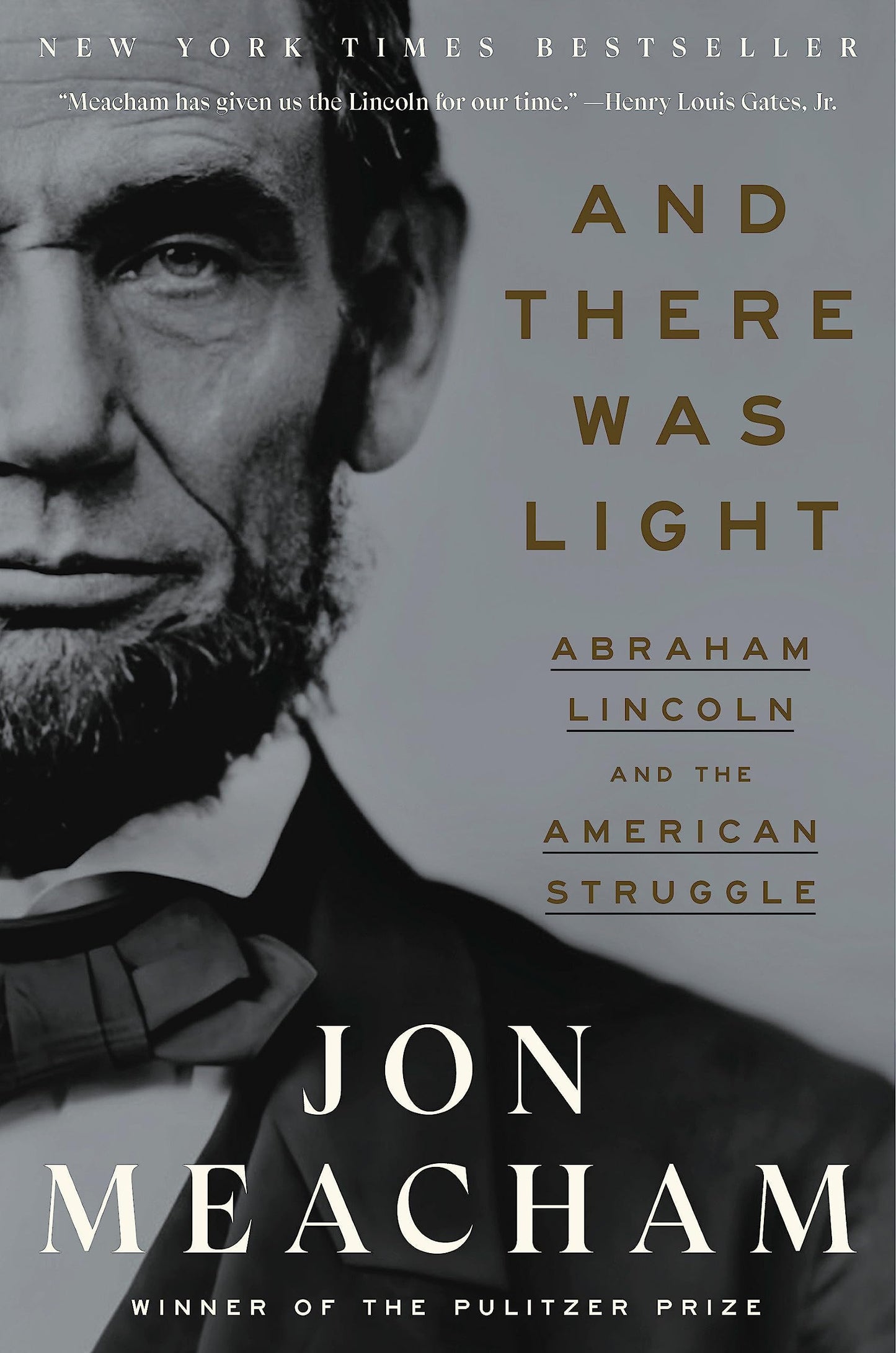 And There Was Light: Abraham Lincoln and the American Struggle book cover