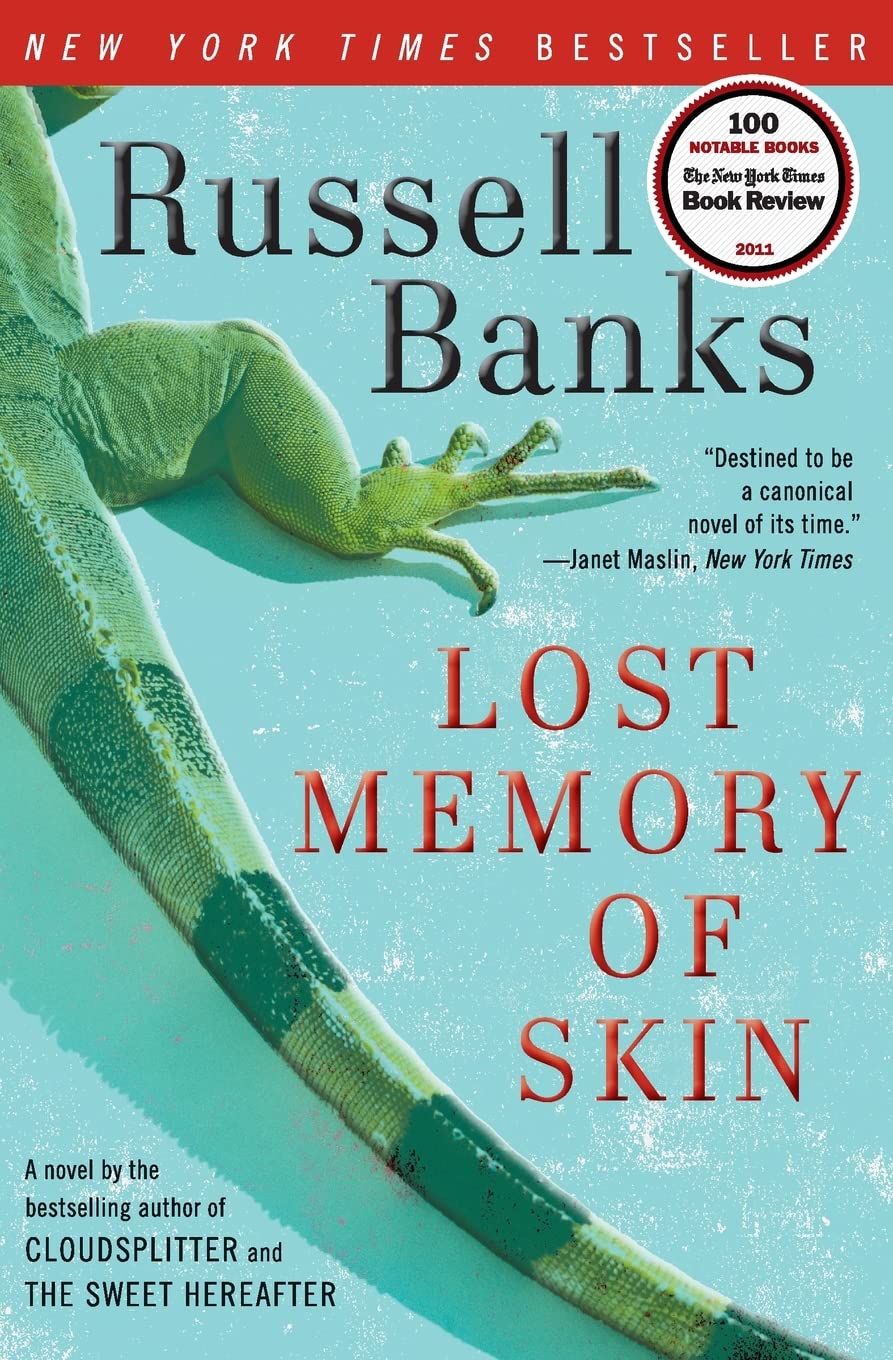Lost Memory of Skin book cover