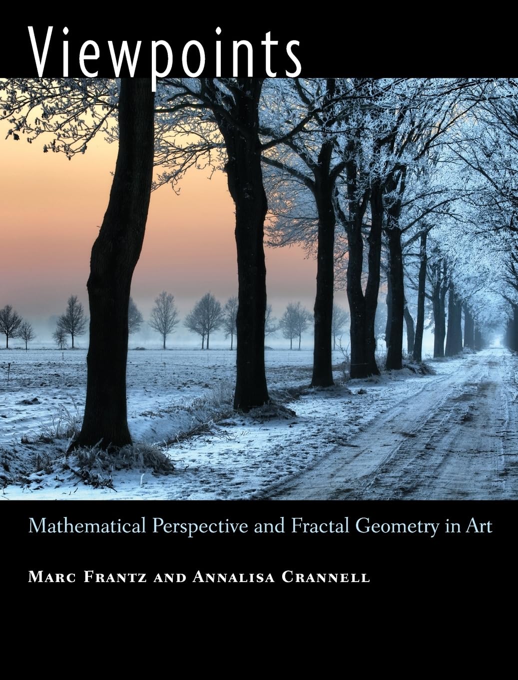 Viewpoints: Mathematical Perspective and Fractal Geometry in Art book cover