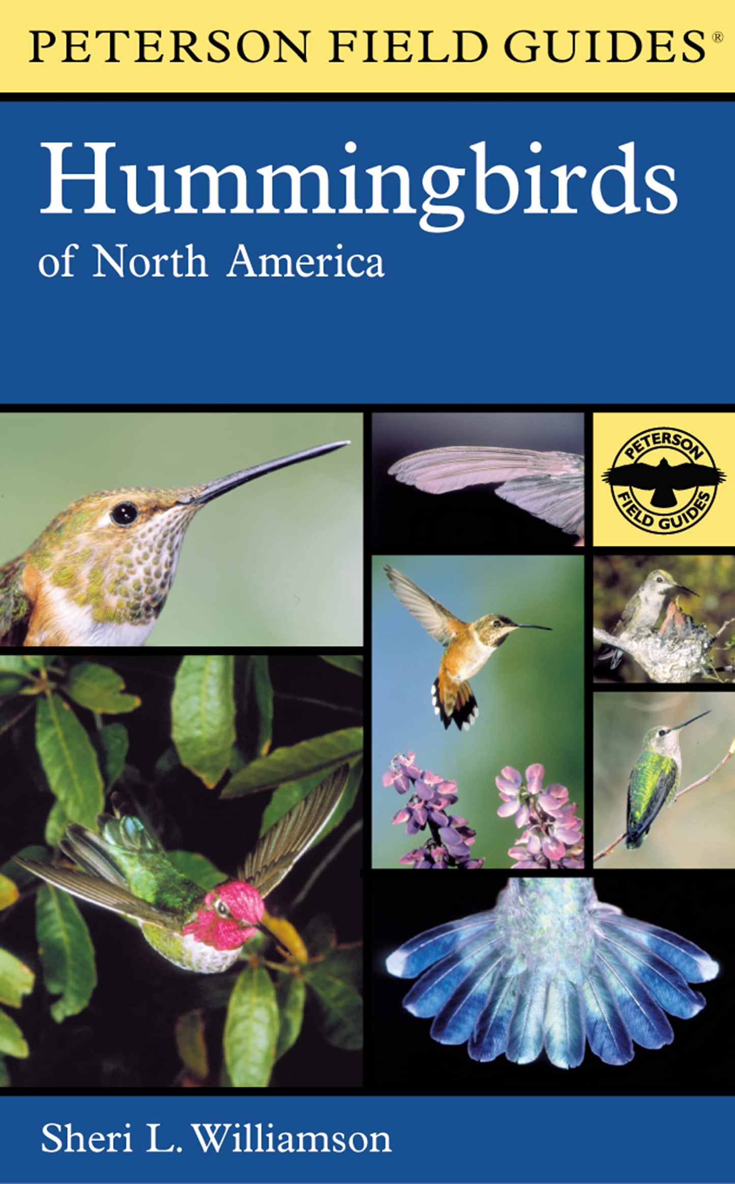 Hummingbirds of North America book cover