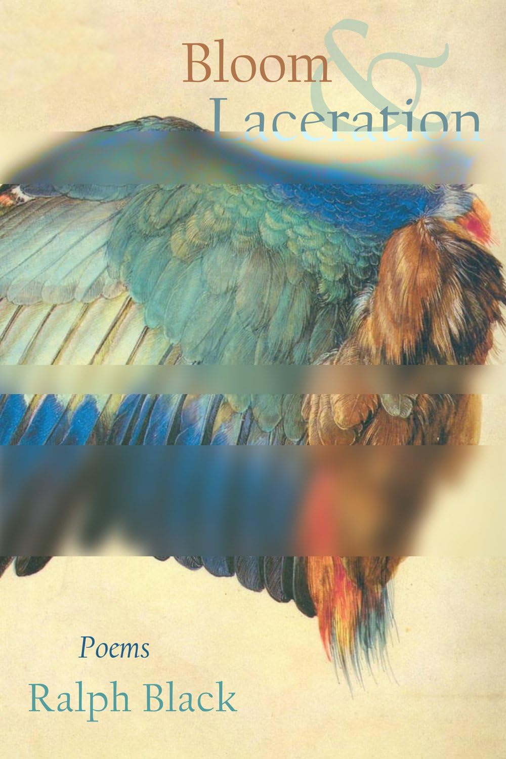 Bloom and Laceration: Poems book cover