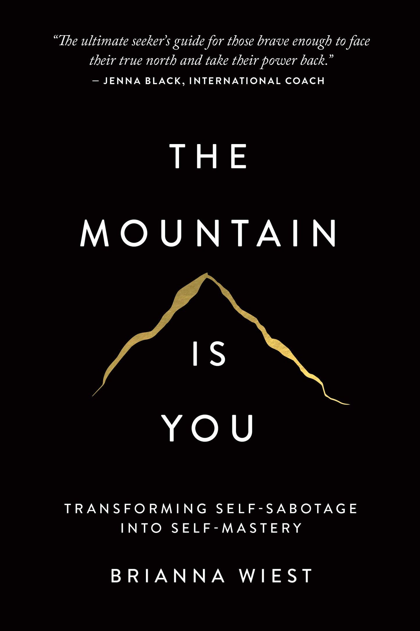 Mountain Is You: Transforming Self-Sabotage Into Self-Mastery book cover