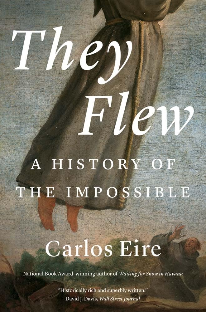 They Flew: A History of the Impossible book cover