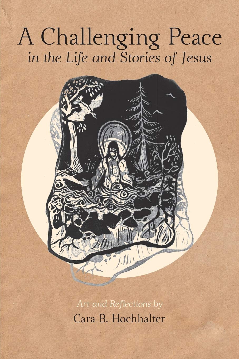 Challenging Peace: In the Life and Stories of Jesus book cover