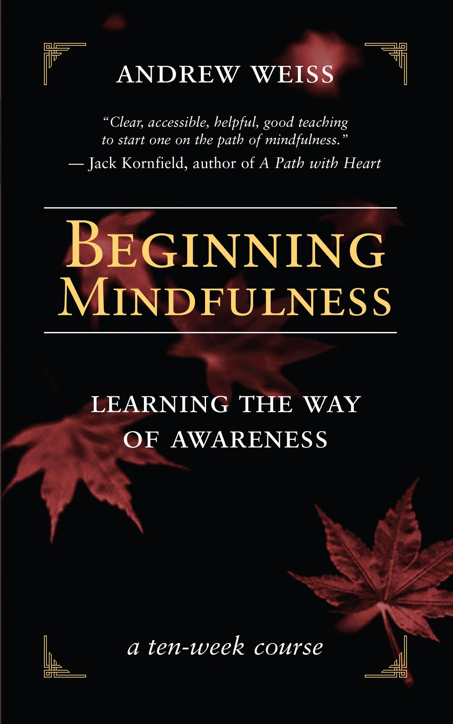 Beginning Mindfulness: Learning the Way of Awareness: A Ten Week Course book cover