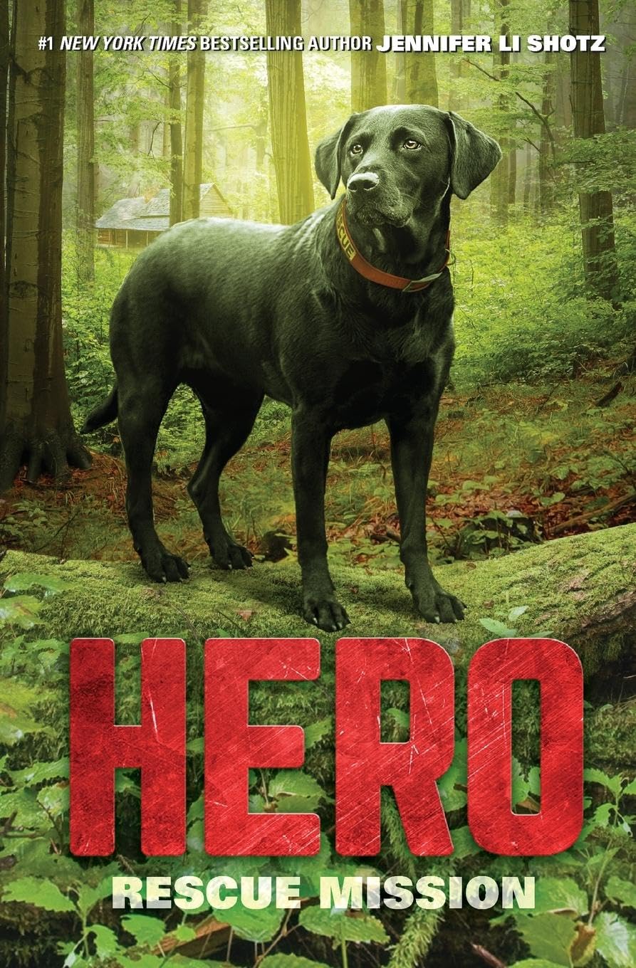 Hero: Rescue Mission book cover