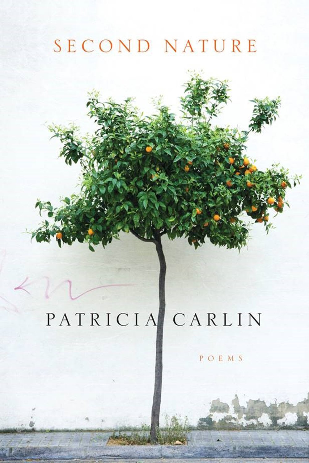 Second Nature book cover
